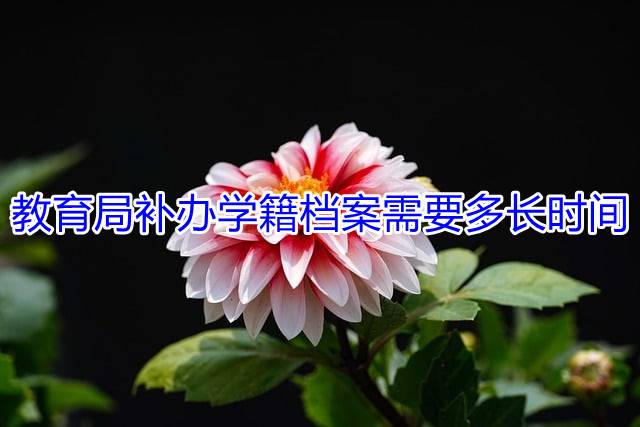 教育局补办学籍档案需要多长时间