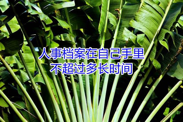 人事档案在自己手里不超过多长时间