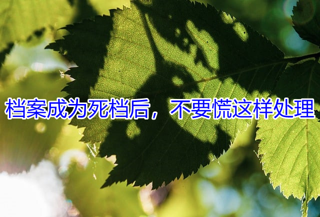 档案成为死档后，不要慌这样处理