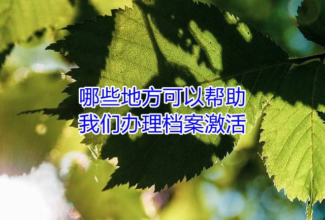 哪些地方可以帮助我们办理档案激活