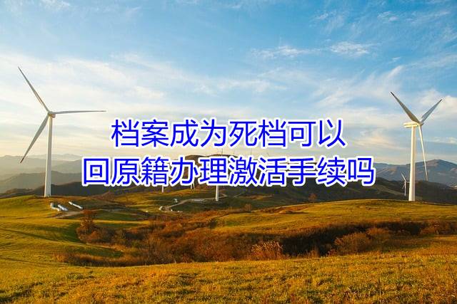 档案成为死档可以回原籍办理激活手续吗