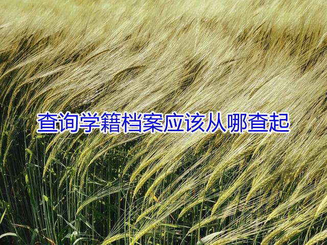 查询学籍档案应该从哪查起