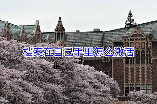 在自己手里的档案怎么激活