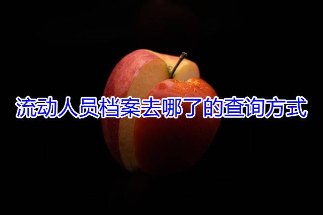 流动人员档案去哪了的查询方式