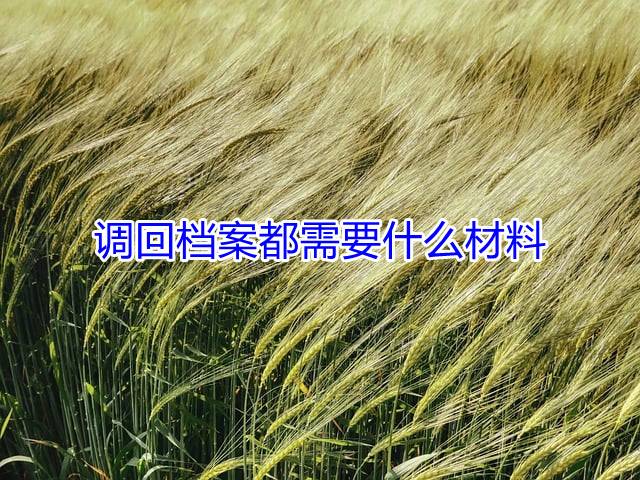调回档案都需要什么材料