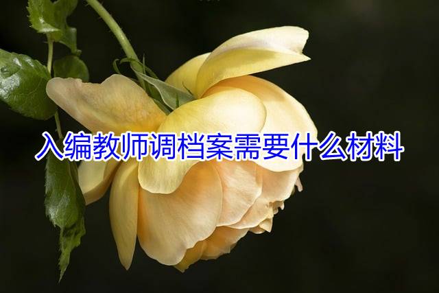 入编教师调档案需要什么材料