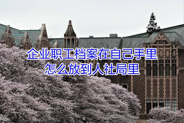 企业职工档案在自己手里怎么放到人社局里