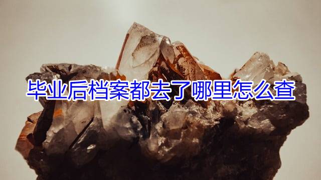 毕业后档案都去了哪里怎么查
