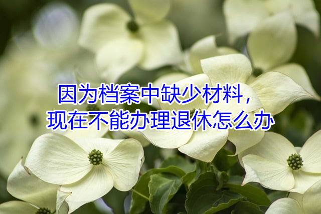 因为档案中缺少材料，现在不能办理退休怎么办