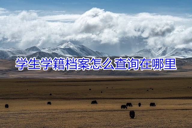 学生学籍档案怎么查询在哪里