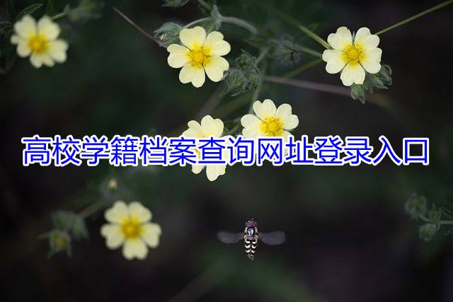 高校学籍档案查询网址登录入口