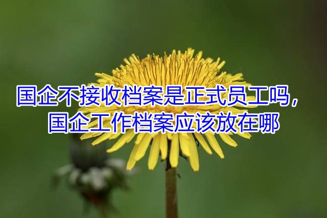 国企不接收档案是正式员工吗，国企工作档案应该放在哪