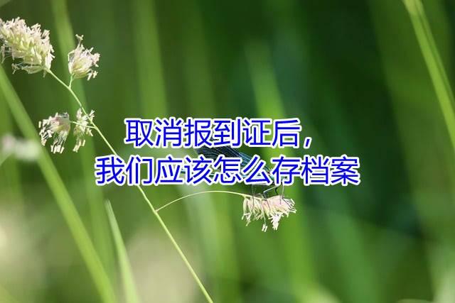取消报到证后，我们应该怎么存档案