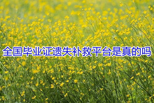 全国毕业证遗失补救平台是真的吗