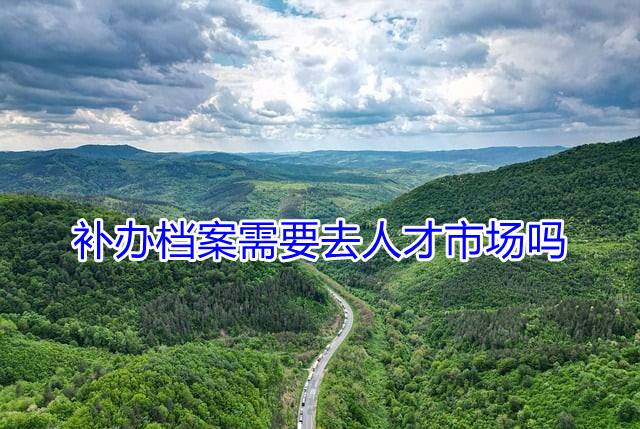 补办档案需要去人才市场吗
