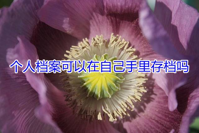 个人档案可以在自己手里存档吗