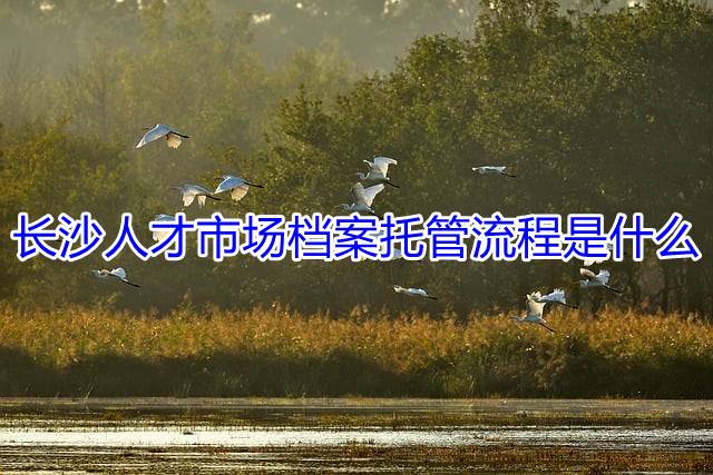 长沙人才市场档案托管流程是什么