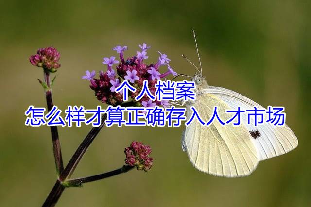 个人档案怎么样才算正确存入人才市场