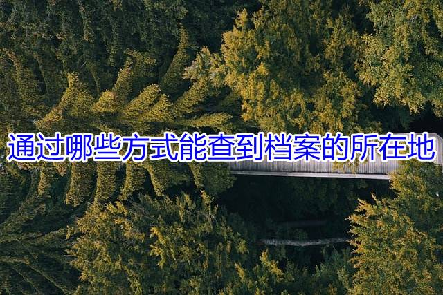 通过哪些方式能查到档案的所在地