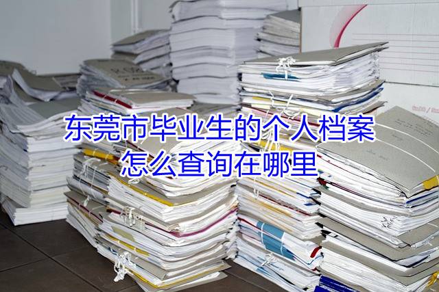 东莞市毕业生的个人档案怎么查询在哪里