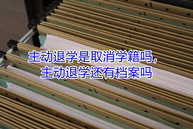 主动退学是取消学籍吗，主动退学还有档案吗
