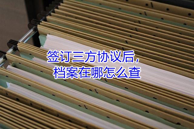签订三方协议后，档案在哪怎么查