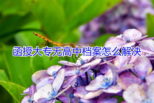 函授大专无高中档案怎么解决