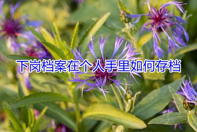下岗档案在个人手里如何存档