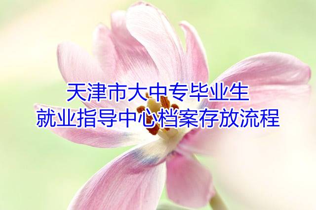 天津市大中专毕业生就业指导中心档案存放流程
