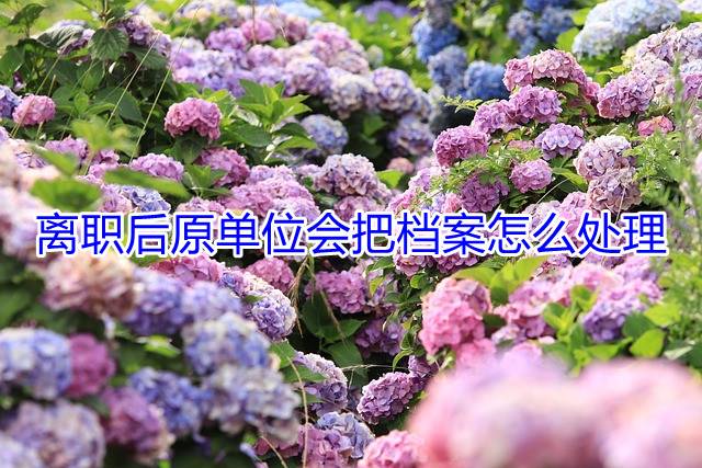 离职后原单位会把档案怎么处理