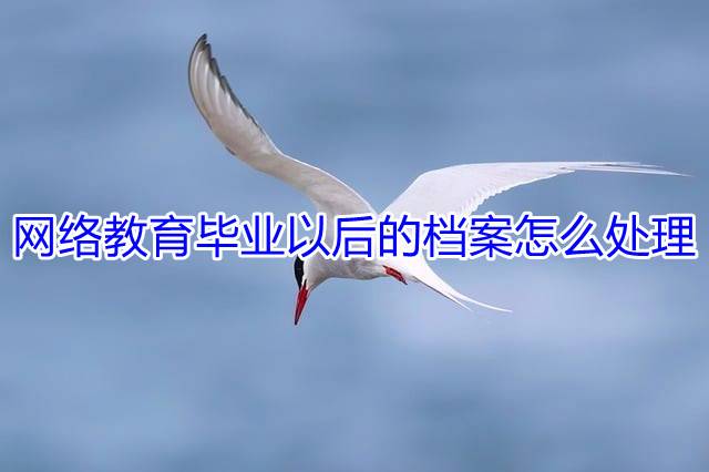 网络教育毕业以后的档案怎么处理
