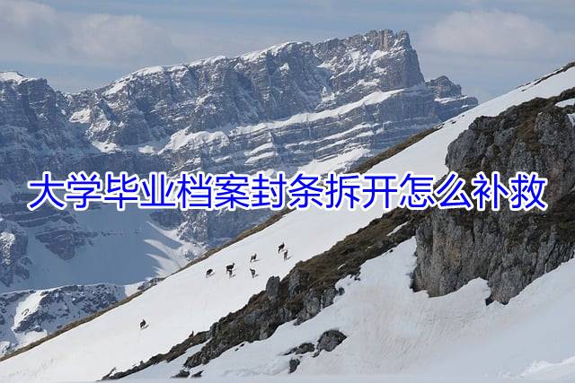 大学毕业档案封条拆开怎么补救