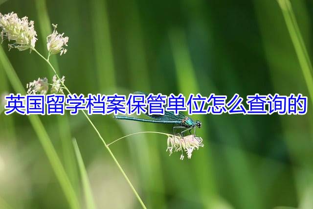 英国留学档案保管单位怎么查询的