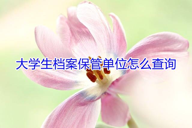 大学生档案保管单位怎么查询