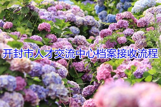 开封市人才交流中心档案接收流程