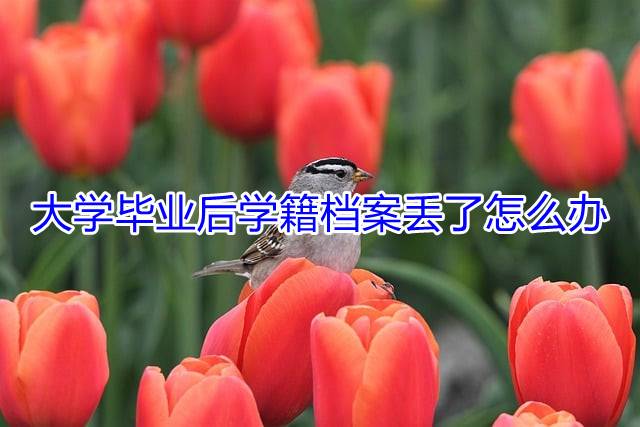 大学毕业后学籍档案丢了怎么办