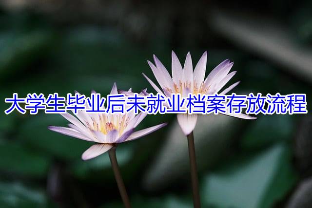 大学生毕业后未就业档案存放流程