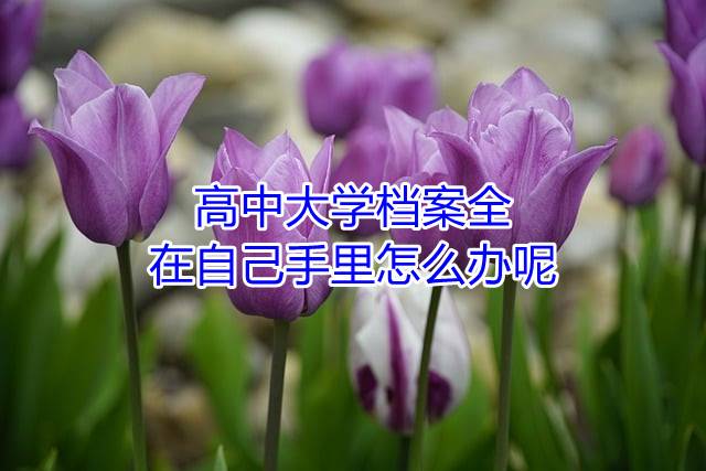 高中大学档案全在自己手里怎么办呢