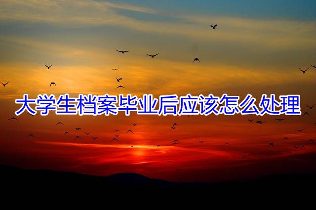 大学生档案毕业后应该怎么处理