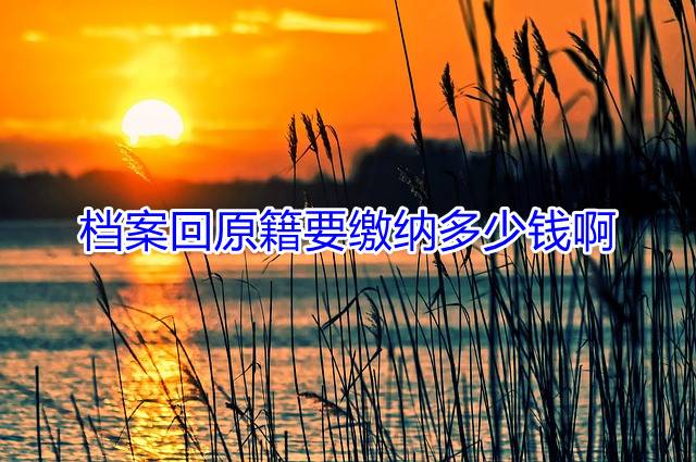档案回原籍要缴纳多少钱啊