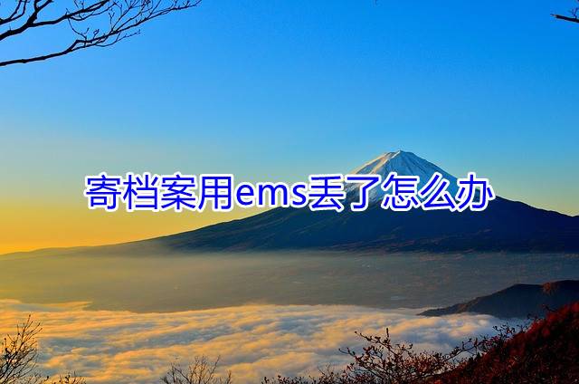 寄档案用ems丢了怎么办