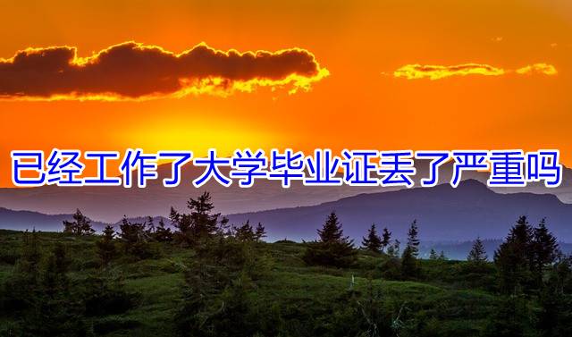 已经工作了大学毕业证丢了严重吗