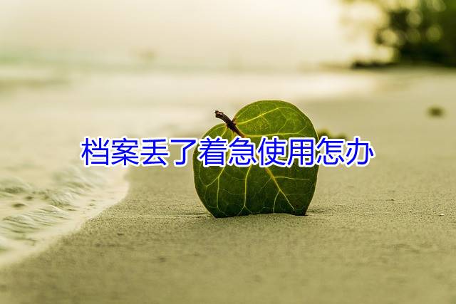档案丢了着急使用怎办