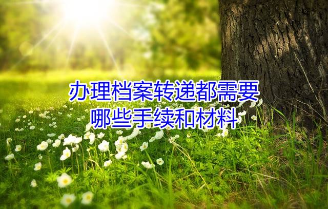 办理档案转递都需要哪些手续和材料