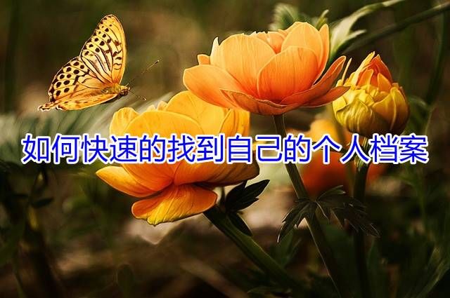 如何快速的找到自己的个人档案