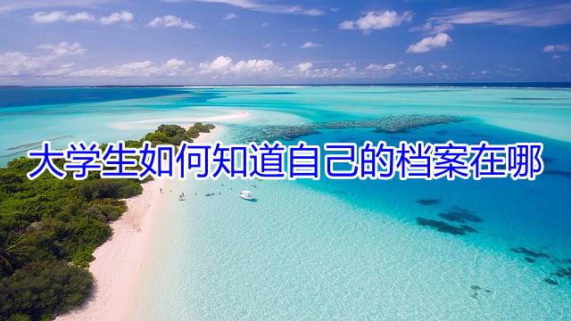 大学生如何知道自己的档案在哪