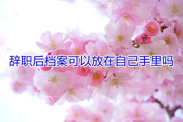 辞职后档案可以放在自己手里吗