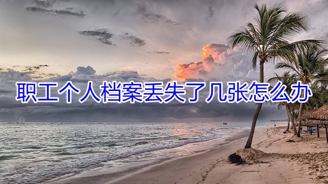 职工个人档案丢失了几张怎么办