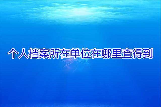 个人档案所在单位在哪里查得到
