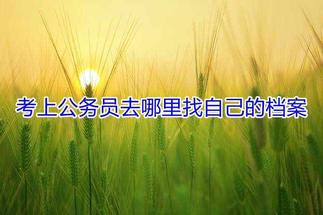 考上公务员去哪里找自己的档案